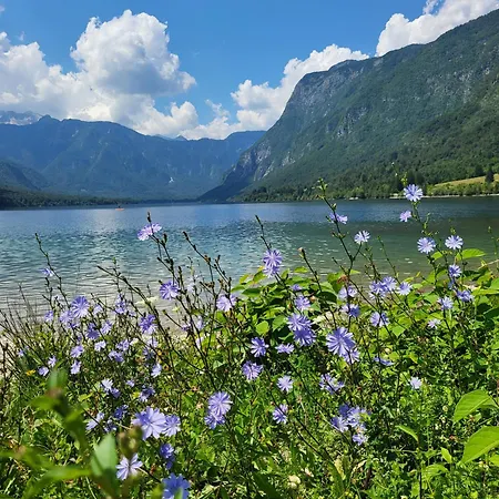 Tatil Evi Escape To House