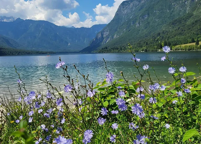 別荘 Escape To House